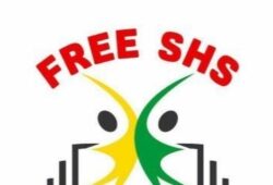 Picture on Free SHS or Double Track System