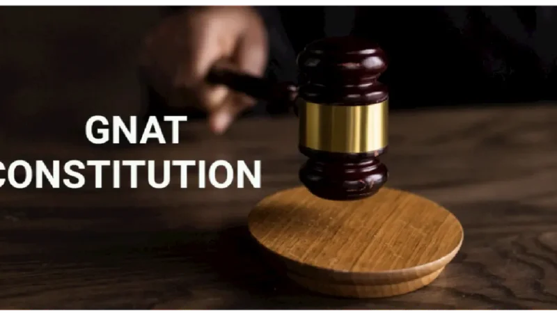 GNAT Constitution: Download the Full Document Here