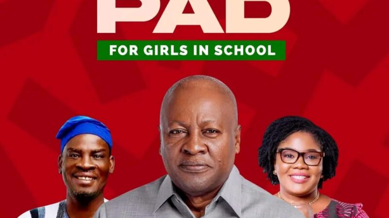Government to Launch Free Sanitary Pad Initiative for School Girls