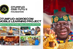 Picture of Otumfuo-AgroEcom Project