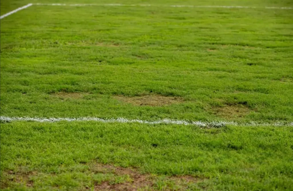 Picture on the State of Baba Yara Sports Stadium