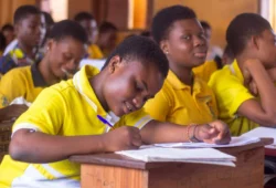 Picture of WAEC Release of 2024 BECE Provisional Results