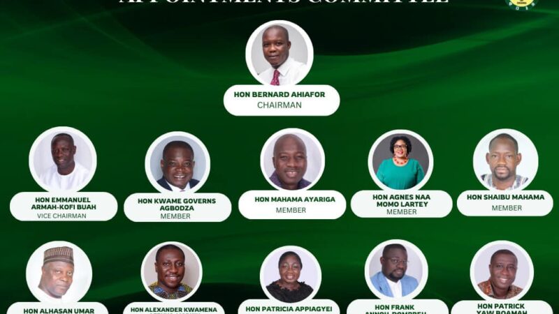 The Appointment Committee of Ghana’s Parliament 2025