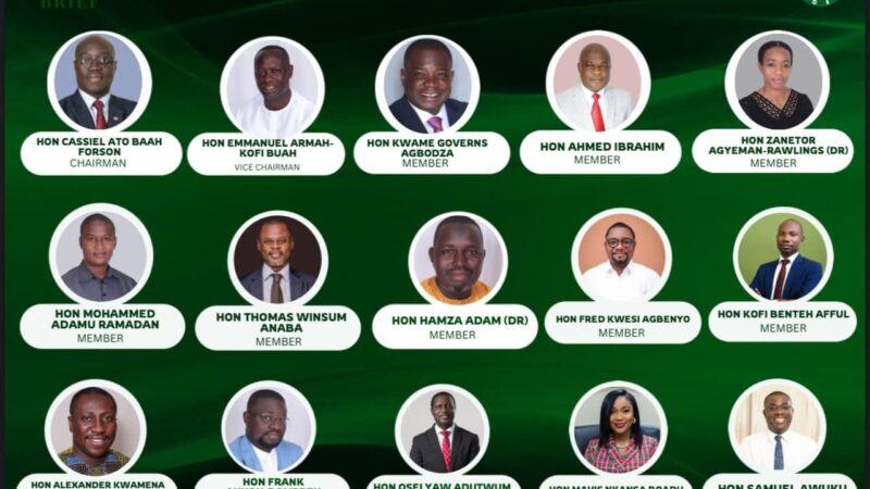 The Business Committee of Ghana’s 2025 Parliament