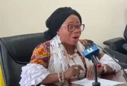 prof. smile dzisi-deputy director-general -management services-ges-