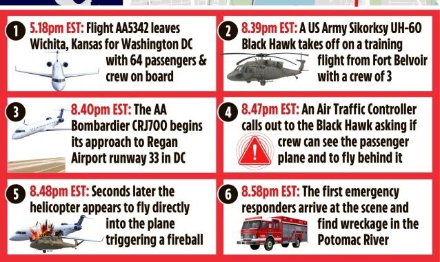 what caused the Washington DC Plane Crash?