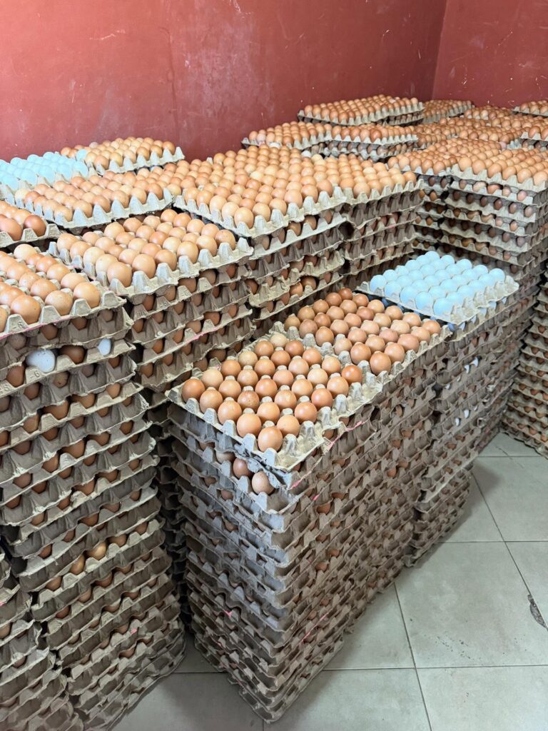 John Dumelo donating food items to Ayawaso West school feeding caterers