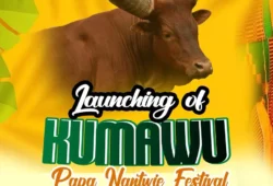 Kumawu Papa Nantwie Festival Launch image